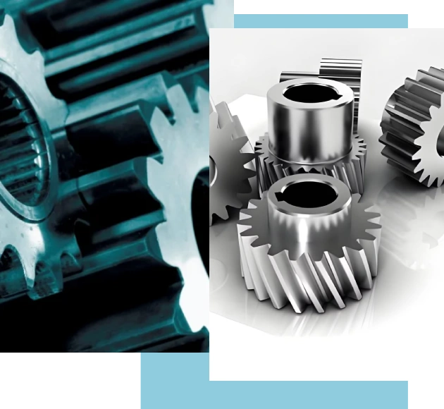 fcd disli ana sayfa hakimizda banner